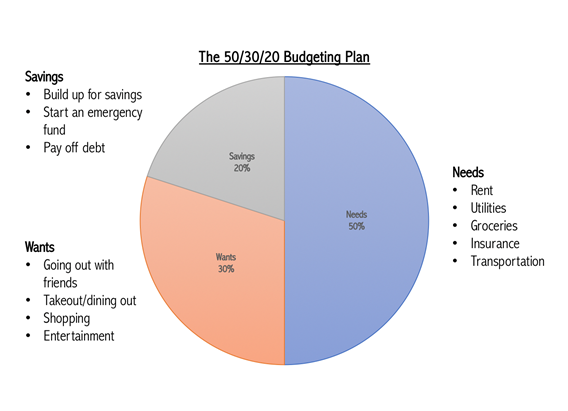 A pie chart displays a breakdown of the 50/30/20 budget. 
